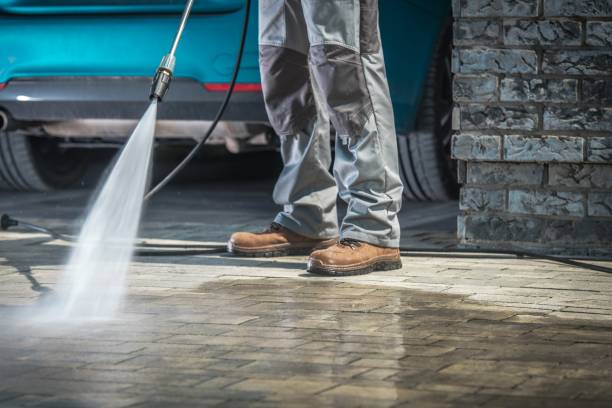 Best Winterizing Services  in Horizon West, FL