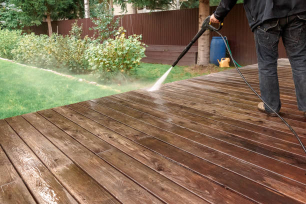 Best Soft Washing  in Horizon West, FL
