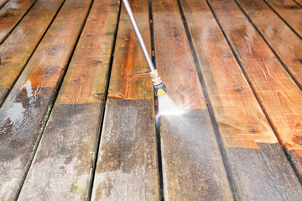 Best Sidewalk and Walkway Cleaning  in Horizon West, FL