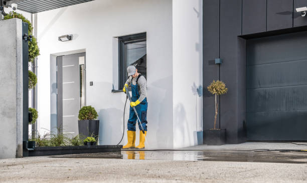 Boat and Dock Cleaning in Horizon West, FL